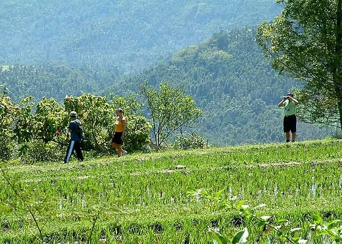 Puri Lumbung Restaurant & 假日公园 2*