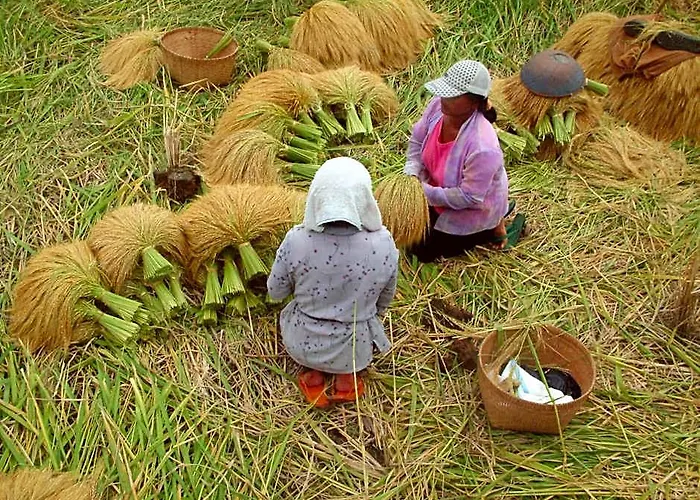 Puri Lumbung Restaurant & Munduk