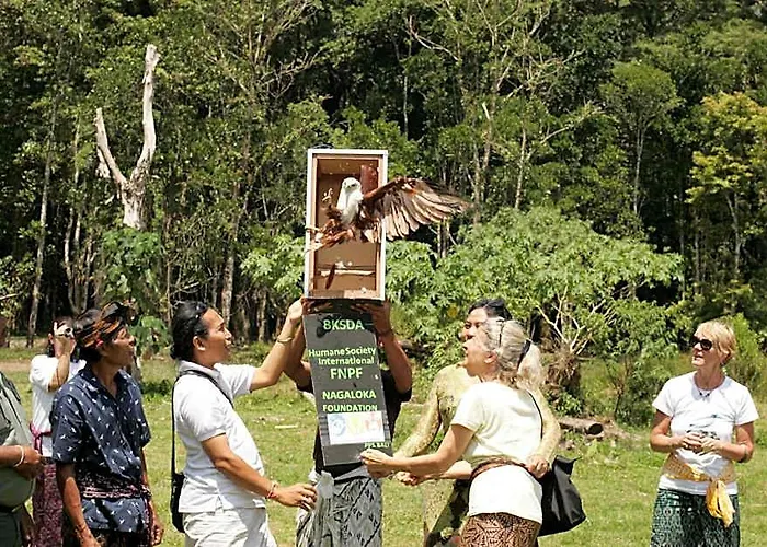 Puri Lumbung Restaurant & 2* Munduk (Bali)